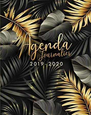 Agenda 2019/2020: 18 mois journalier 2019-20 - format A5 - juillet 2019 à décembre 2020 - planificateur, semainier simple & graphique, motif Feuille de Palmier Tropical or et noir