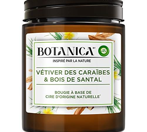 Airwick Botanica Bougie Parfumée Cire d'Origine Naturelle Vétiver des Caraïbes/Bois de Santal 205 g