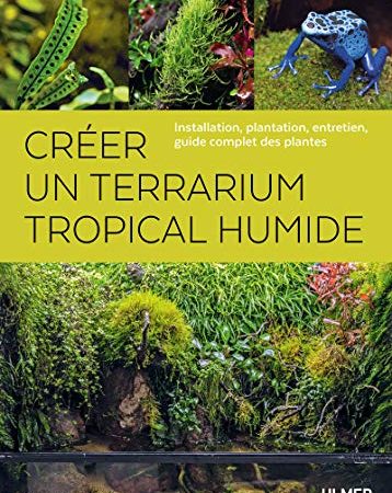 Créer un terrarium tropical humide