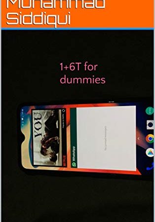 1+6T for dummies (English Edition)