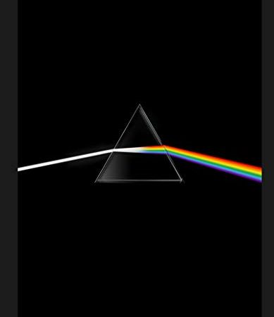 Pink Floyd their mortal remains Le livre officiel