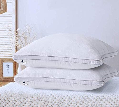 viewstar Oreiller Moelleux, Coussin Blanc, Garnissage de Microfibre, Oreillers Anti-Transpiration, Anti-Acarien et Hypo-Allergénique pour Hotêl Lit Canapé (60x60)