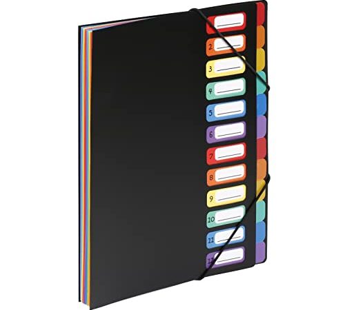 Viquel Rainbow Class - Trieur accordéon 12 compartiments en plastique - Pochette extensible pour classer et transporter des documents - Rangement papier format A4