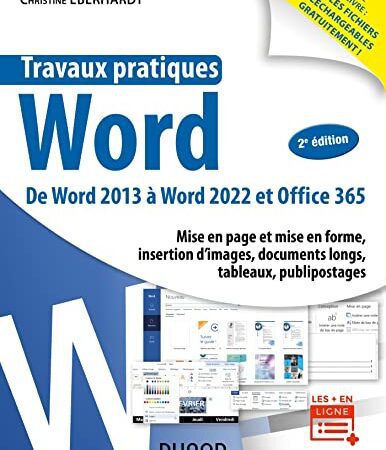 Travaux pratiques - Word - 2e éd.: De Word 2013 A Word 2022 et Office 365