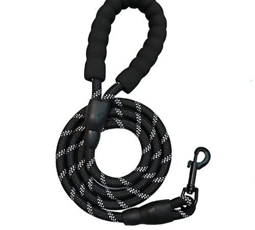 AYZECHANG Laisse pour chien - 1,5 m/2 m/3 m - Convient pour les petits chiens, les chiens moyens, les grands chiens - Laisse réfléchissante et robuste (3 m)