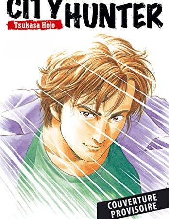 City Hunter Perfect Edition T04