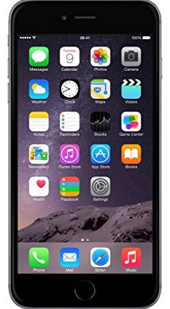 Apple iPhone 6s Plus 16Go - Gris Sidéral - Débloqué (Reconditionné)