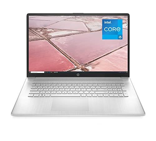 HP Laptop 17-cn1000sf PC Portable 17.3" FHD IPS (Intel Core i5-1155G7, RAM 8 Go, SSD 512 Go, AZERTY, Windows 11 Famille) Argent naturel