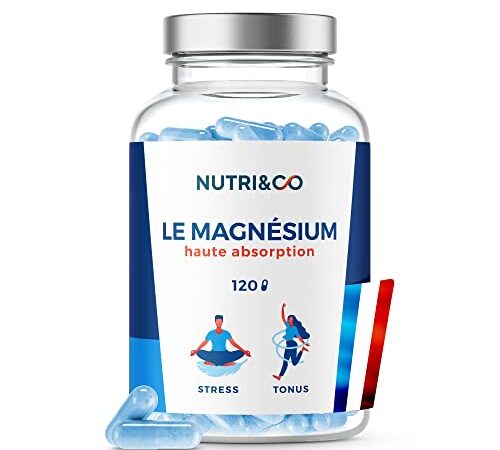 Magnésium + Vitamine B6 | Malate & Liposome de Magnesium | Absorption Supérieure au Magnesium Marin et Bisglycinate | Haute Teneur 300mg /j | Fatigue et Stress | 120 gélules Made in France | Nutri&Co