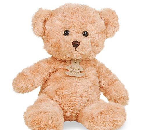 Histoire d'Ours Ours Câlin Peluche Miel 21 cm