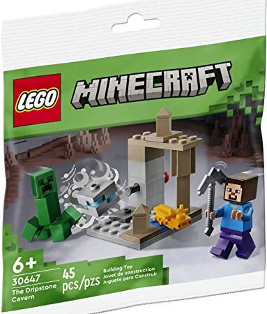 LEGO Minecraft Die Tropfsteinhöhle 30647