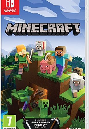 Minecraft switch standard