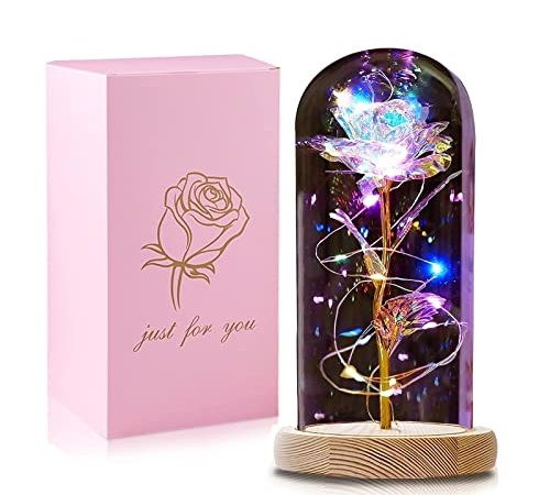 QUNPON Cadeau Saint Valentin Femme, Cadeau Anniversaire Femme Maman, Rose Eternelle sous Cloche, Rose Fleur Artificielle avec Lumières LED, Idée Cadeau pour Couple, Mamie, Soeur