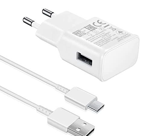 Samneer USB Chargeur avec Câble Compatible avec Samsung S20 S20 FE S10 S10 SE S9 S8 A53 A52S A51 A50 A41 A40 Charge Rapide + Type C Câble - Blanc