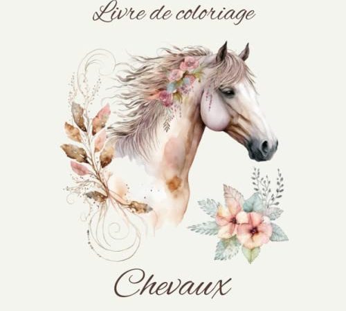 Chevaux: Livre de coloriage pour adolescents et adultes, 63 dessins de chevaux à colorier, cadeau pour les amoureux et passionnés des chevaux.