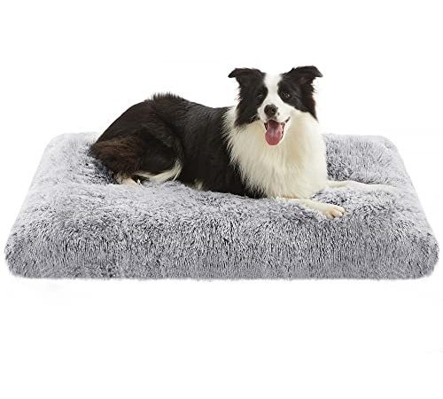 FEANDREA Panier pour Chien, Canapé, Lit pour Animaux, 110 x 73 cm, Rembourrage Moelleux, Lavable en Machine, Coussin pour Chien, Gris Clair PGW203G01